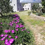 Athevillas Antonis *