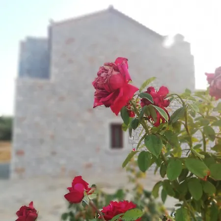 Athevillas Antonis * Mína