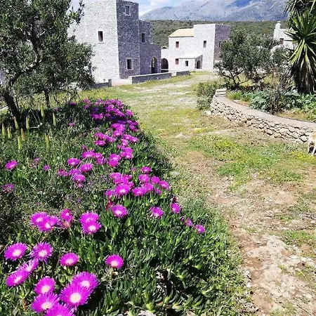 Athevillas Antonis *