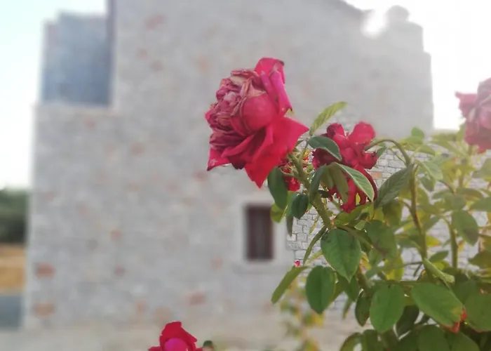 Athevillas Antonis * Μίνα